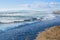 millions of death vellellas (sea raft, by-the-wind sailor, purple sail, little sail) beached in forte dei marmi