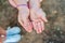 Millipede, Diplopoda, on the hands of a girl