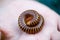 millipede in hand.Macro of orange and brown millipede on hand of woman