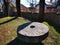 Millstone in the yard of a peasant farm