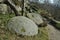 Millstones in the Peak District