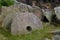 Millstones in the Peak district England