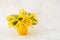 Mimosa flowers bouquet in a yellow pot on light background. Spring, Mothers day, birthday celebration concept.