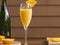Mimosa, Orange Slices & Champagne Bottle