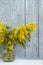 Mimosa twigs with blooming flowers in a glass jar near a wooden background