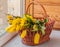 Mimosa, willow twigs and tulips in a basket