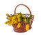 Mimosa, willow twigs and tulips in a basket