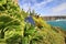 Minack theatre Cornwall England