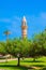 The minaret of the trees in Caesarea