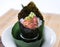 Minced Tuna Hand Roll Temaki