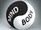 Mind and body in balance - pictured as words Mind, body and yin yang symbol, to show harmony between Mind and body, 3d