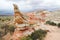 Mindblowing shapes and colors of moonlike sandstone formations in White Pocket, Arizona, USA