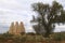 Mine furnaces and chimneys in mineral de pozos, guanajuato, mexico