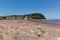 Minehead Somerset England UK beach and seafront towards the harbour in summer on a beautiful day