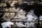 Mineral deposits on the ceiling of a cave. Taya Caves, Kanagawa Prefecture, Japan