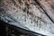 Mineral deposits on the ceiling of Taya Caves, Kanagawa Prefecture, Japan