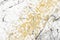 mineral gold granite rock surface of cave for interior wallpaper