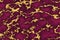 mineral gold tiny line texture on amaranth purple color marble