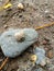 Mineral and grey stone close up. Geology image