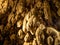 Mineral growths stalactites and stalagmites in a cave in the waterfalls park in the city of Edessa, Greece