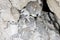 Mineral inside of stone. Unpolished quartz excavating or deposit