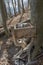 A mineral lick in the forest. Salt blocks ready for the wild animals