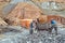 Miners at Work, Potosi Silver Mine, Bolivia