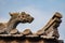 Ming Dynasty Roof Decor