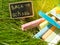 Mini blackboard written Back to school and colorful chalk on a green grass background