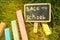 Mini blackboard written Back to school and colorful chalk on a green grass background