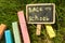 Mini blackboard written Back to school and colorful chalk on a green grass background