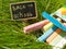 Mini blackboard written Back to school and colorful chalk on a green grass background