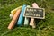 Mini blackboard written Back to school and colorful chalk on a green grass background