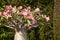 Mini bonsai baobab tree blossoming in a park. Pink flowers