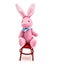Mini Bunny in Chair