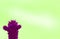 Mini cactus in surreal styled vivid magenta isolated on lime green background with free space