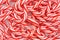 Mini Candy Canes