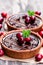 Mini chocolate tarts with cranberries on wooden background