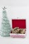 Mini christmast tree with glittering white background. Christmas theme