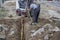 Mini excavator digging up a electrical cables from trench 3