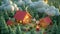 mini farm in the forest 3d model fantasy cartoonish design