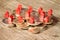 Mini houses resting on coins pile