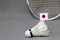 Mini Japan flag stick on the white shuttlecock on the grey background and out focus badminton racket