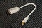 A Mini male DisplayPort to female DisplayPort cable and adapter