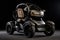 Mini Mobility Introduces a Perfect Three-Wheel Mini Car