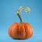 Mini orange pumpkin with stem for Halloween on blue background