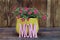 Mini Petunias in a yellow pot with the word Mom in front