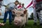 Mini pig walks in a green grass park