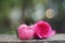 Mini pinky heart and single elegant pink color rose flower decorated with petals on wood table background, sweet valentine present