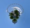 Mini planet of urban nature